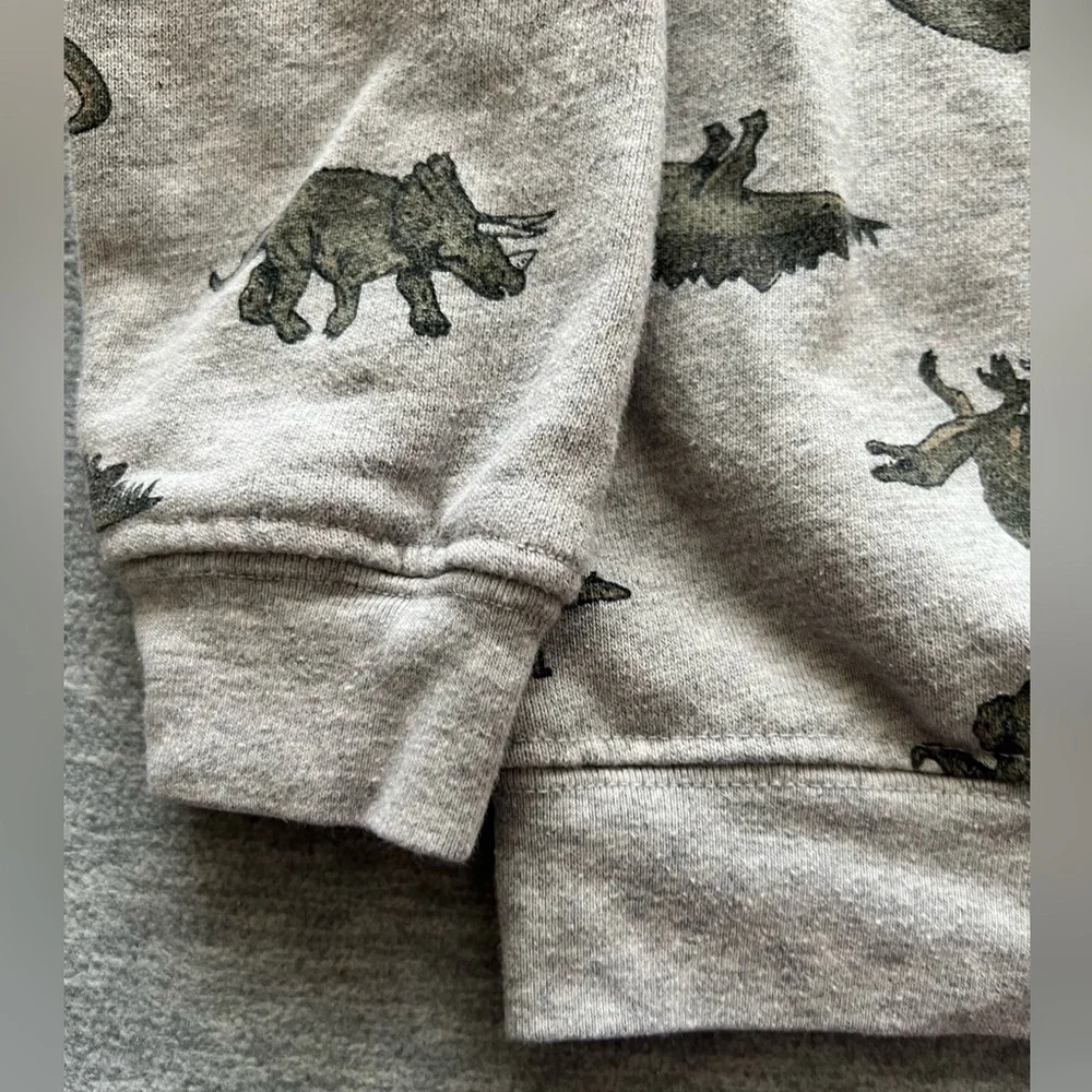 Carter’s boys kids toddlers‎ size 4T dinosaur sweatshirt fall casual activewear